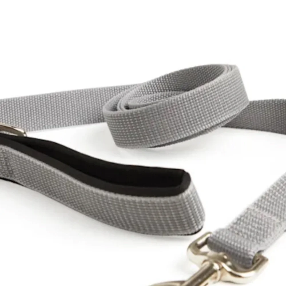 NWT Reddy dog walk kit leash collar XS